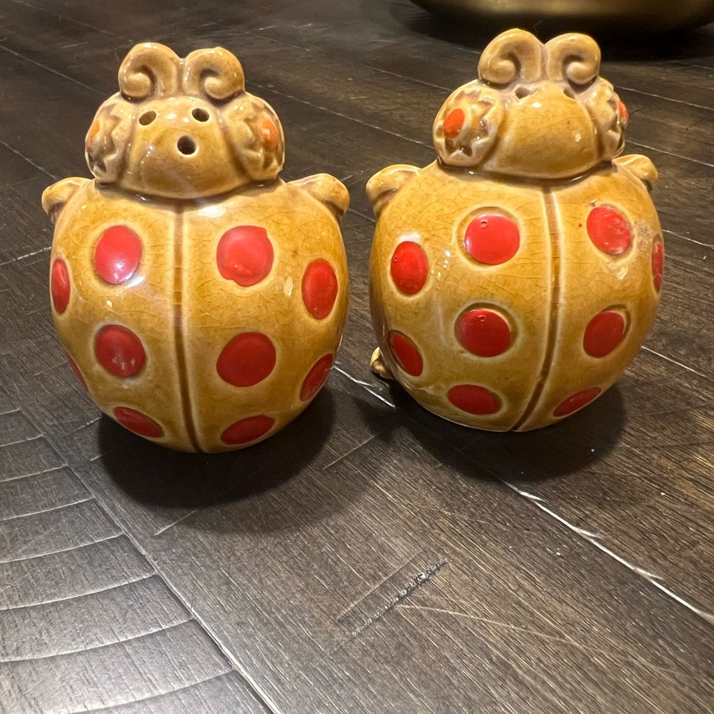 Ladybug Salt and Pepper Shakers